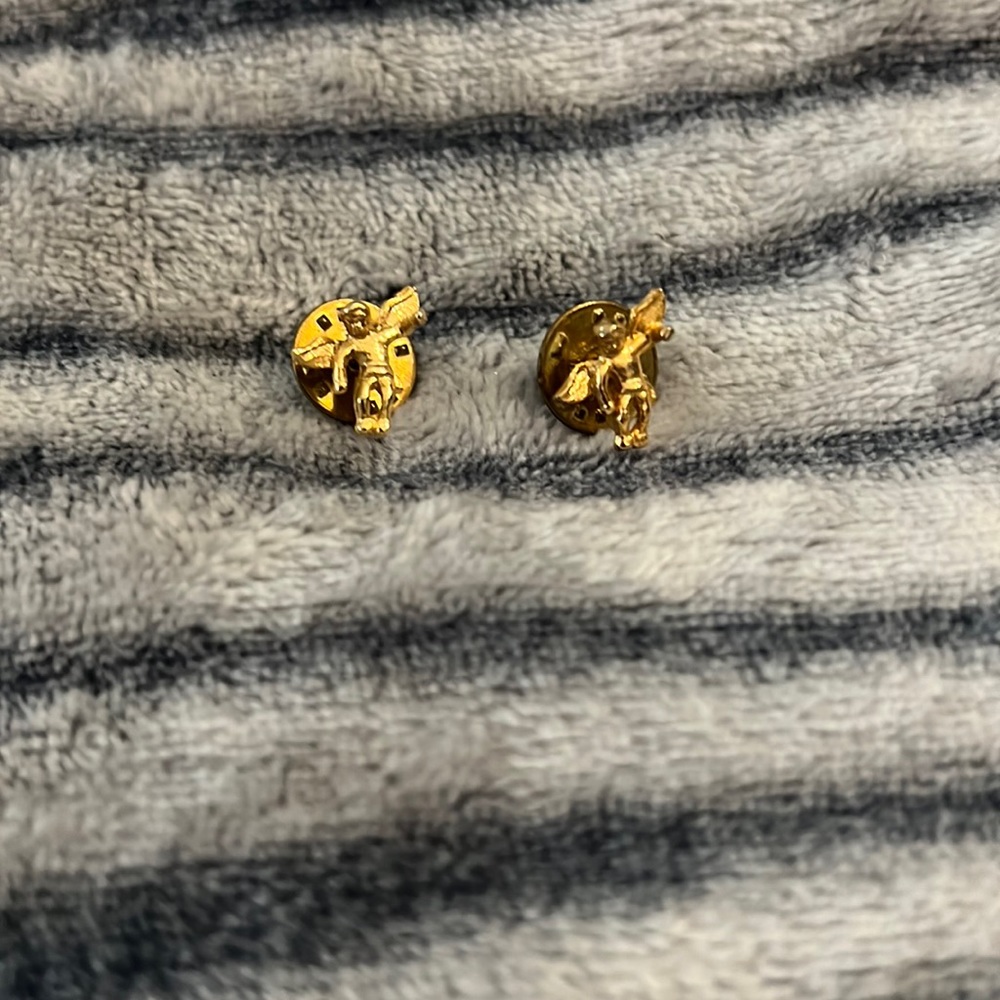 Golden Toned Angel Pins